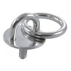 6x40mm Eye Plate with Eye, Bolt and Ring