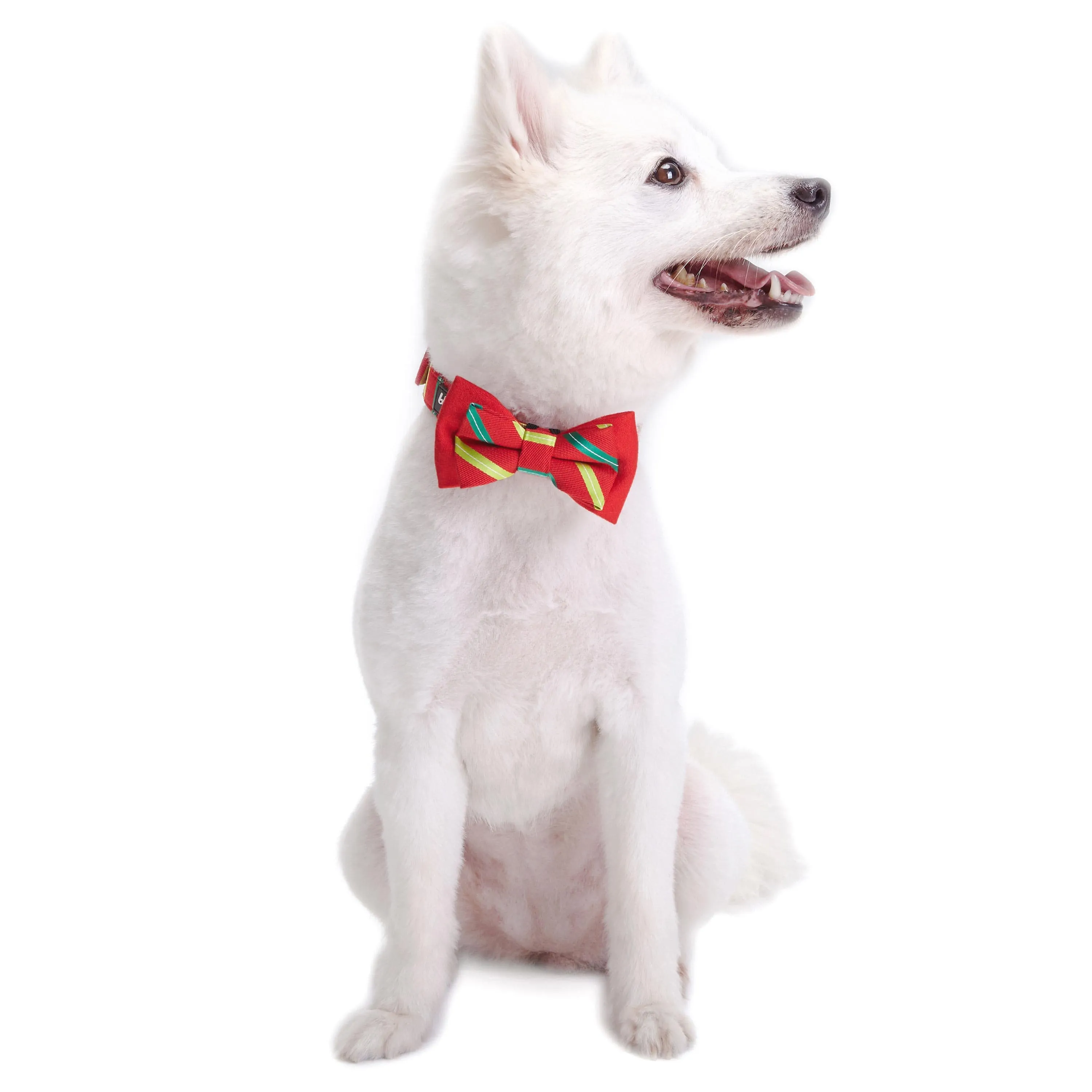 Luxurious Christmas Festival Dog Collar