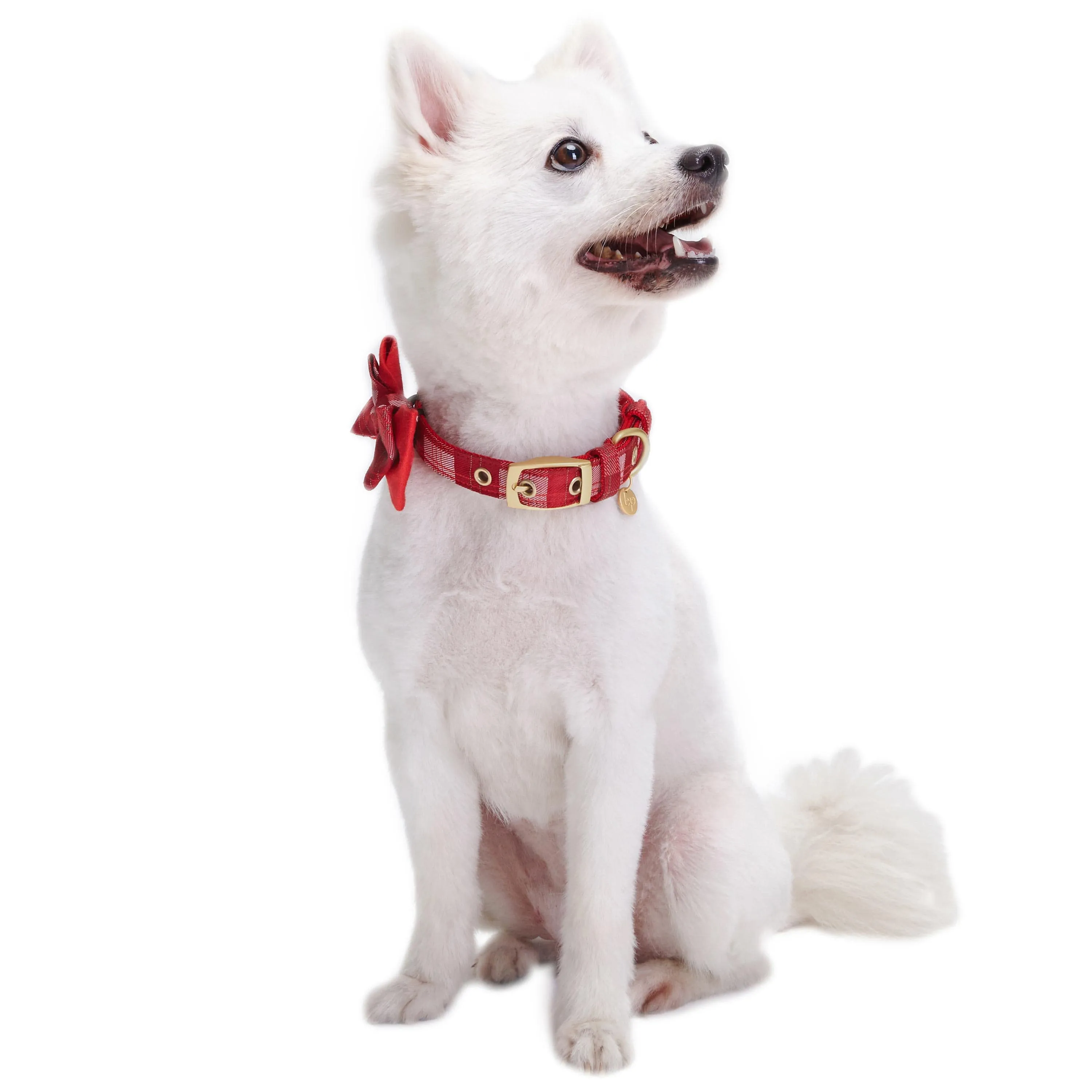 Luxurious Christmas Festival Dog Collar