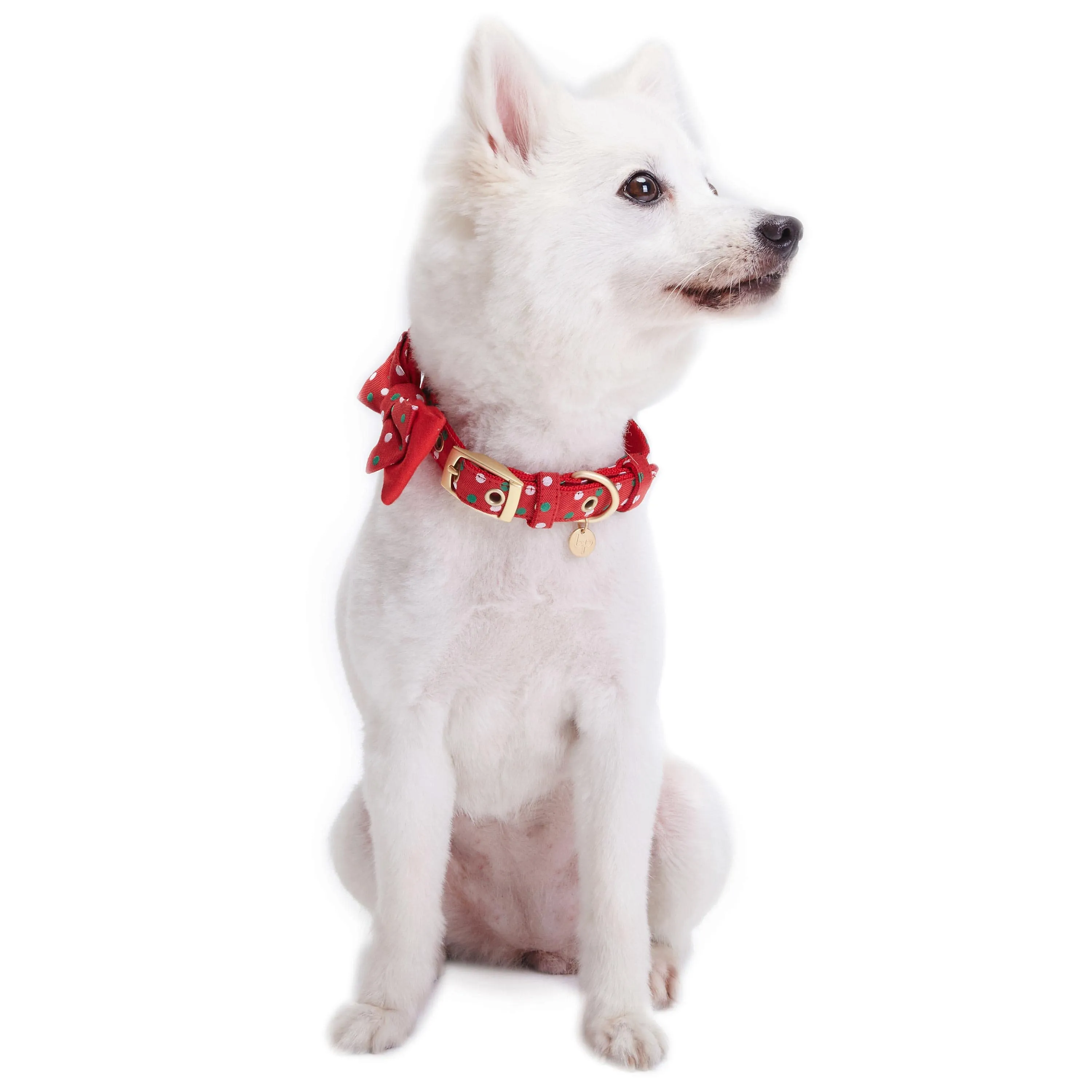 Luxurious Christmas Festival Dog Collar